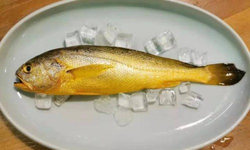 鸡血藤的药用价值及功效-【鸡血藤的药用部位与功能主治是什么】鸡血藤的药用功效与主治 - 鸡血藤的药用部位与功能主治网