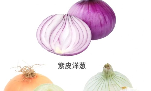【鸡血藤的药用部位与功能主治是什么】鸡血藤的药用功效与主治 - 鸡血藤的药用部位与功能主治网